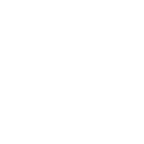 Hyatt Hotels & Resorts Architect